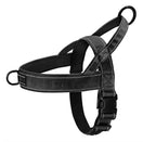 Harnais Anti-Traction Grand Chien