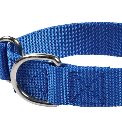 Collier Chien Anti-Fugue Martingale