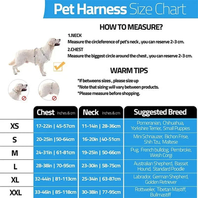 Harnais chien anti-traction personnalisé