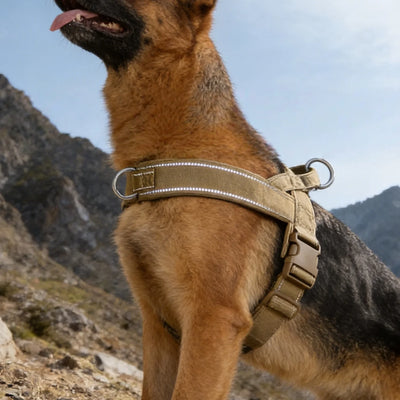 Harnais Anti-Traction Grand Chien