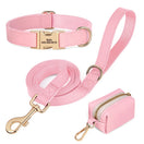 Kit collier laisse chien personnalisé