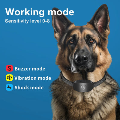 Collier Anti-Aboiement Chien avec Vibration