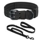 Collier Chien Robuste avec Laisse Assortie