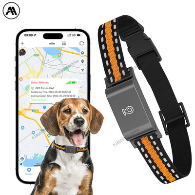 Collier GPS Chien Suivi Temps Réel