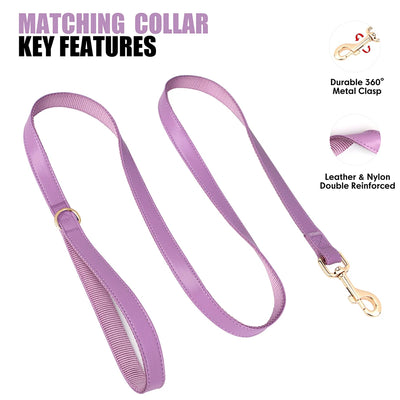 Kit collier laisse chien personnalisé
