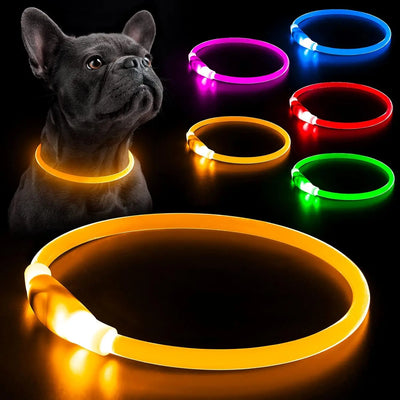 Collier Chien LED Lumineux Nuit