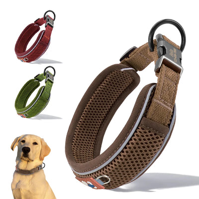 Collier chien réfléchissant personnalisé