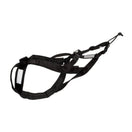 Harnais Chien Traction Canicross