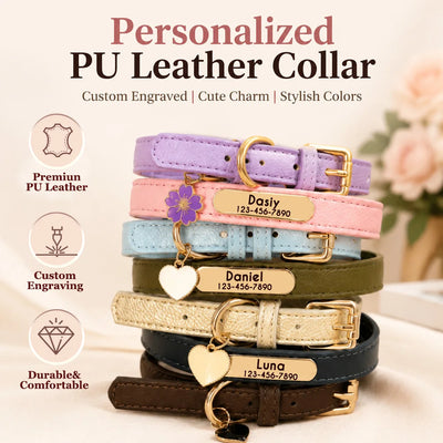 Collier chiot en cuir personnalisé