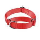 Collier Chien Anti-Fugue Martingale