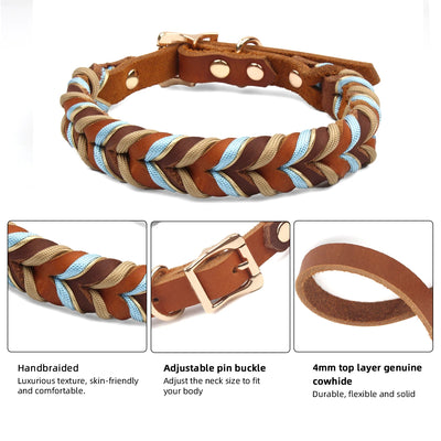 Collier Chien Cuir Tressé