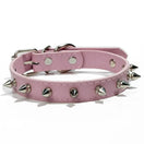 Collier Chien Cuir Clouté