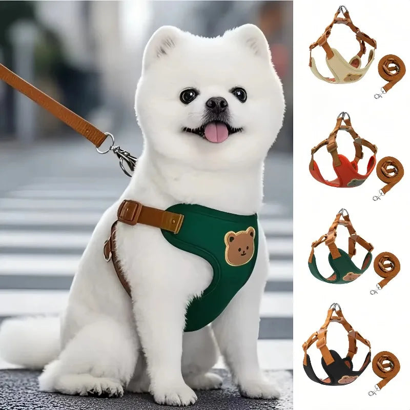 Harnais et Laisse pour Petit Chien