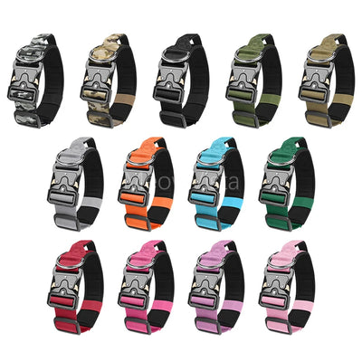 Collier Chien Anti-Fugue Tactique
