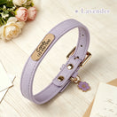 Collier chiot en cuir personnalisé