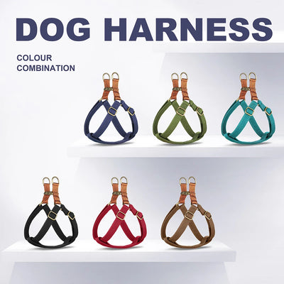 Harnais chien nylon gravé