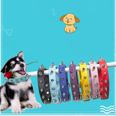 Collier Chien Cuir Clouté