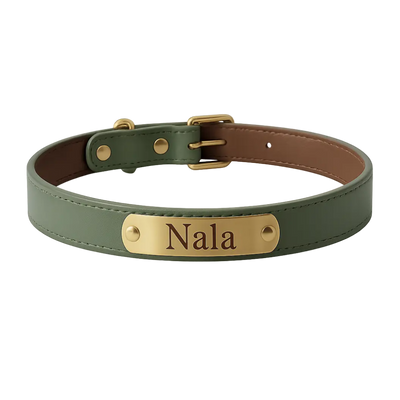 collier cuir chien