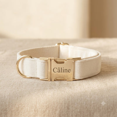Collier chien velours personnalisé — La Patterie