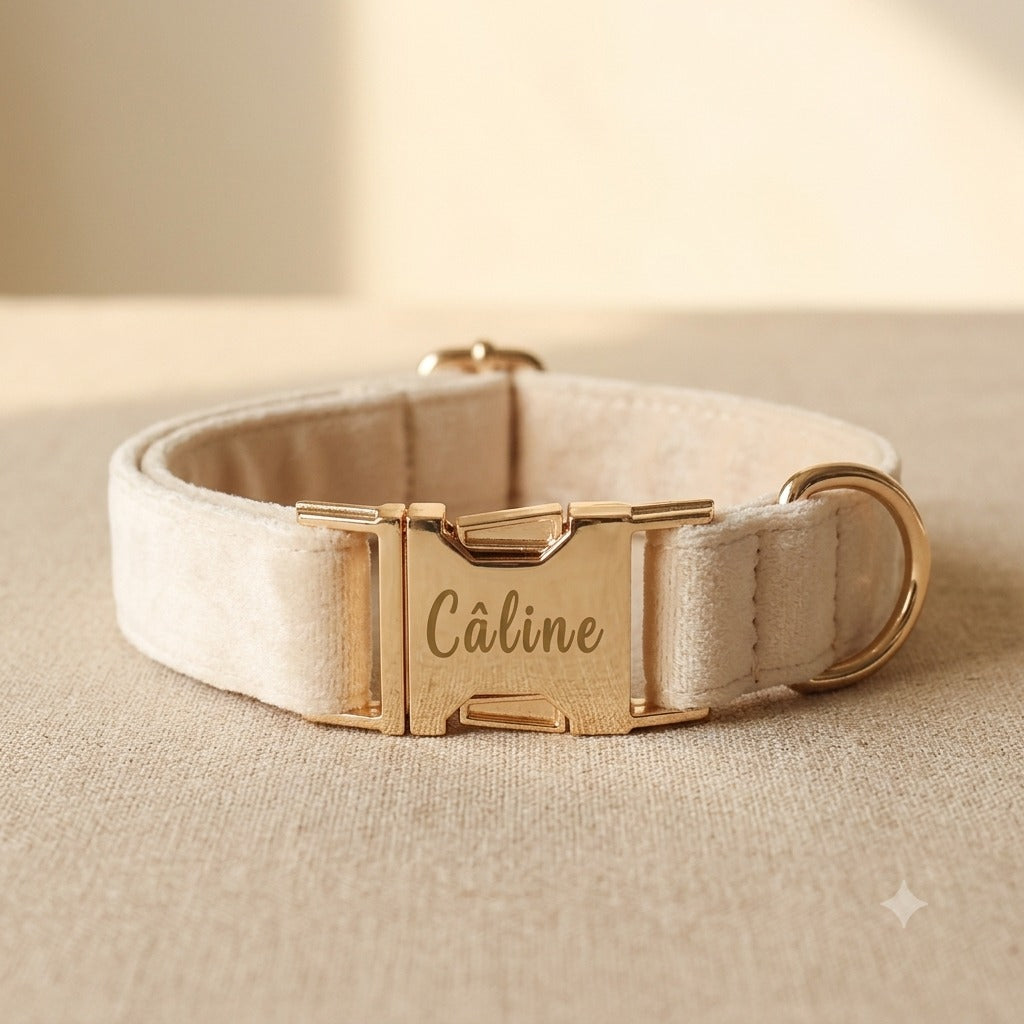 Collier chien nylon nœud personnalisé — La Patterie