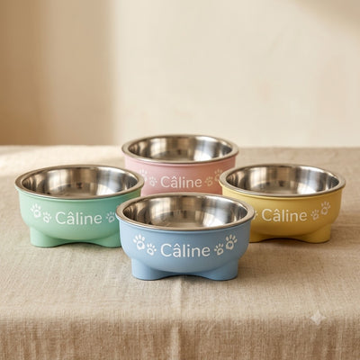 Set gamelle personnalisée pour chien — La Patterie