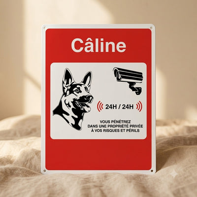 Plaque vidéosurveillance portail chien — La Patterie