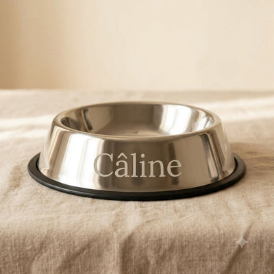 Gamelle chien personnalisée inox — La Patterie