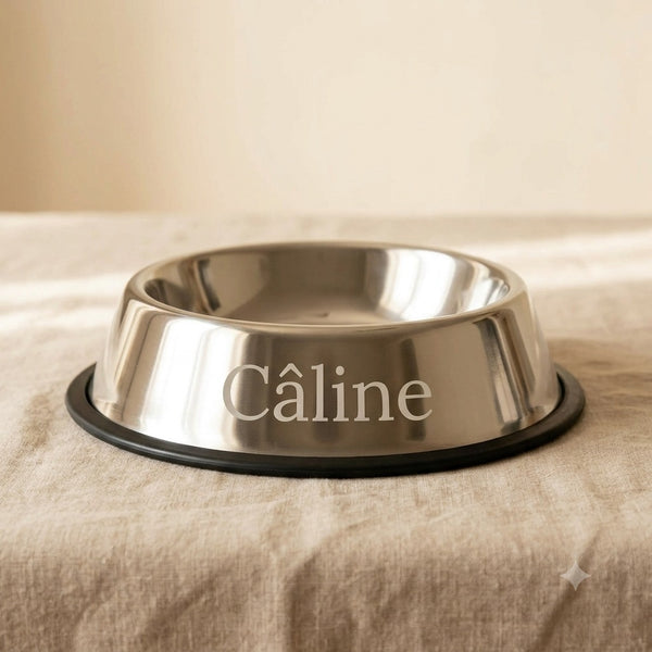 Gamelle chien personnalisée inox