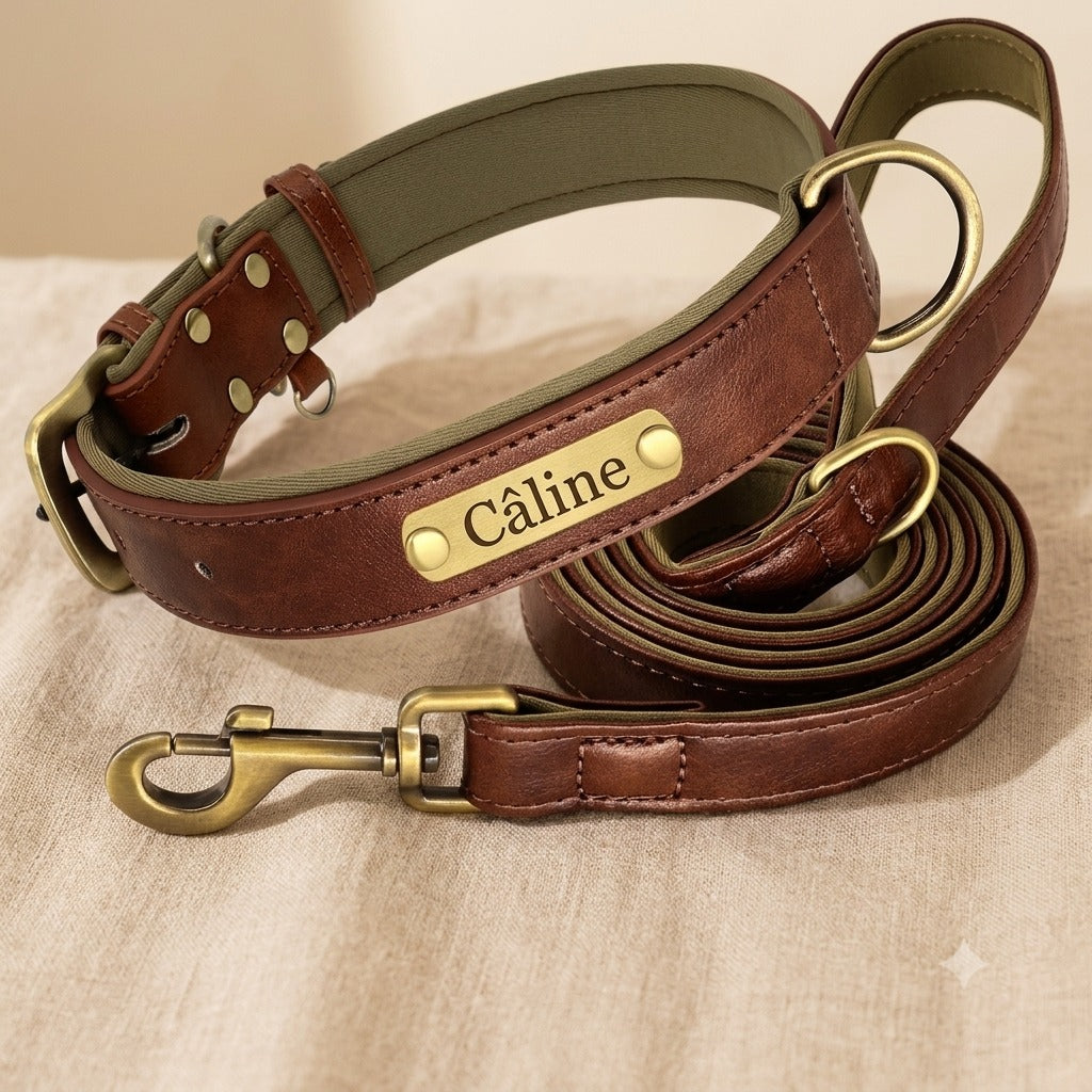 Collier et laisse cuir chien personnalisés — La Patterie