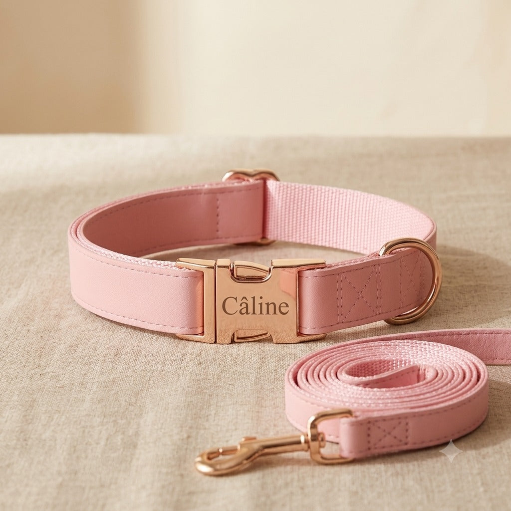 Kit collier laisse chien personnalisé — La Patterie