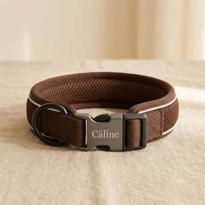 Collier chien réfléchissant personnalisé — La Patterie