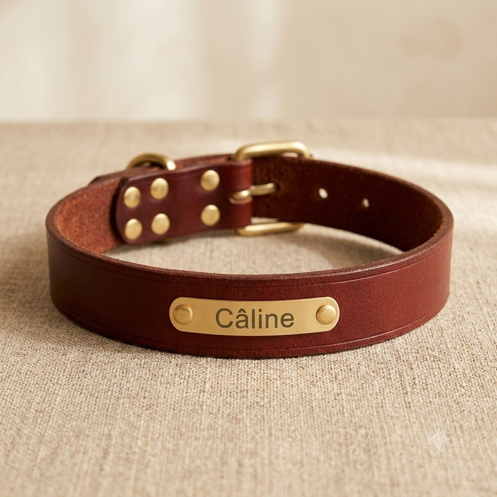 Collier chien cuir véritable personnalisé — La Patterie