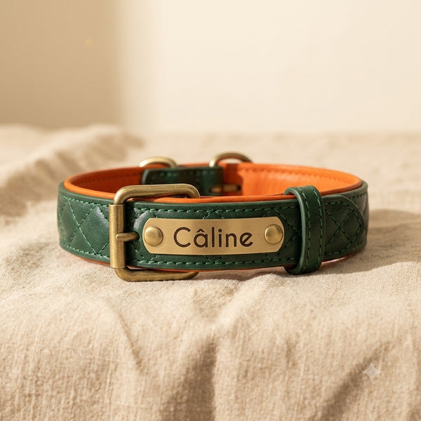 Collier chien cuir matelassé personnalisé