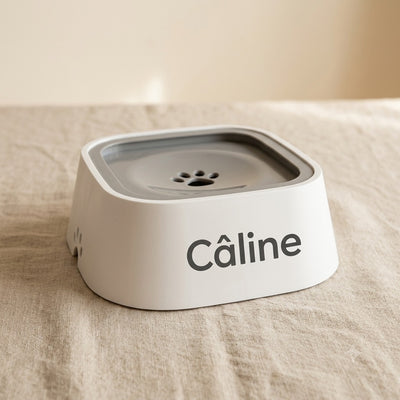 Gamelle à eau chien personnalisée — La Patterie