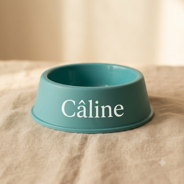Gamelle chien personnalisée plastique